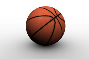 KAIYUN 中国大陆-中国篮球职业俱乐部青训人才培养路径探索，篮球青训队招聘条件