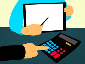 kaiyun登录入口-体教融合视角下的校内竞赛体系构建方案，学校体教融合经验交流材料