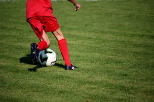 开云中国-篮球运动员心理健康服务体系研究，篮球运动员心理健康服务体系研究论文