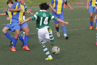 开云官方-詹姆斯率队晋级四强NBA季后赛，詹姆斯季后赛40+全记录